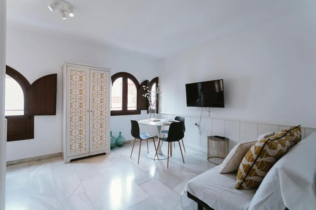 Complete Studio With Terrace - 1Bth- La Giralda Apartment Seville