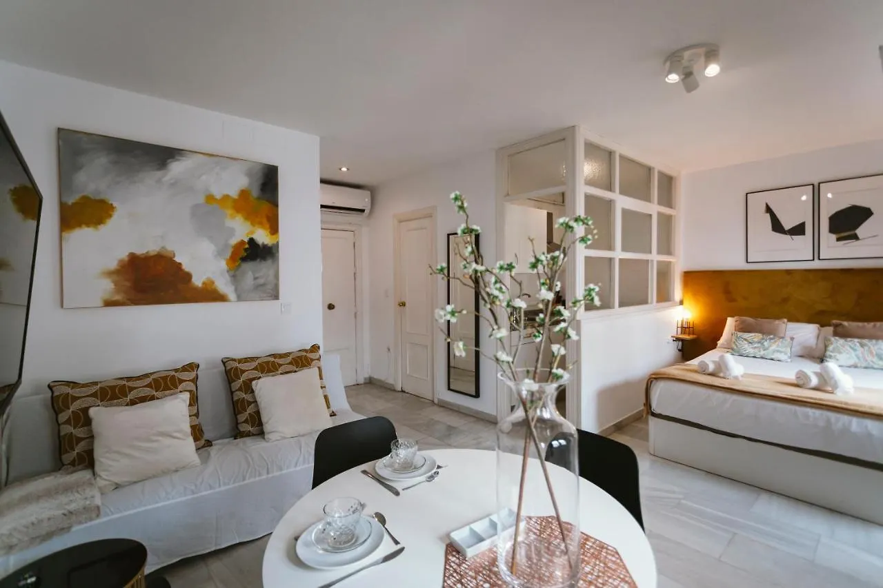 Complete Studio With Terrace - 1Bth- La Giralda Apartment Seville